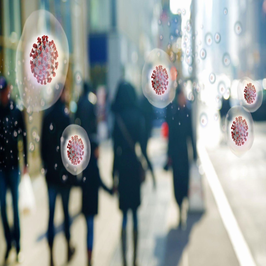 Domuz Gribi Salgını Riski: Mevsimler ve Yayılma Potansiyeli | 