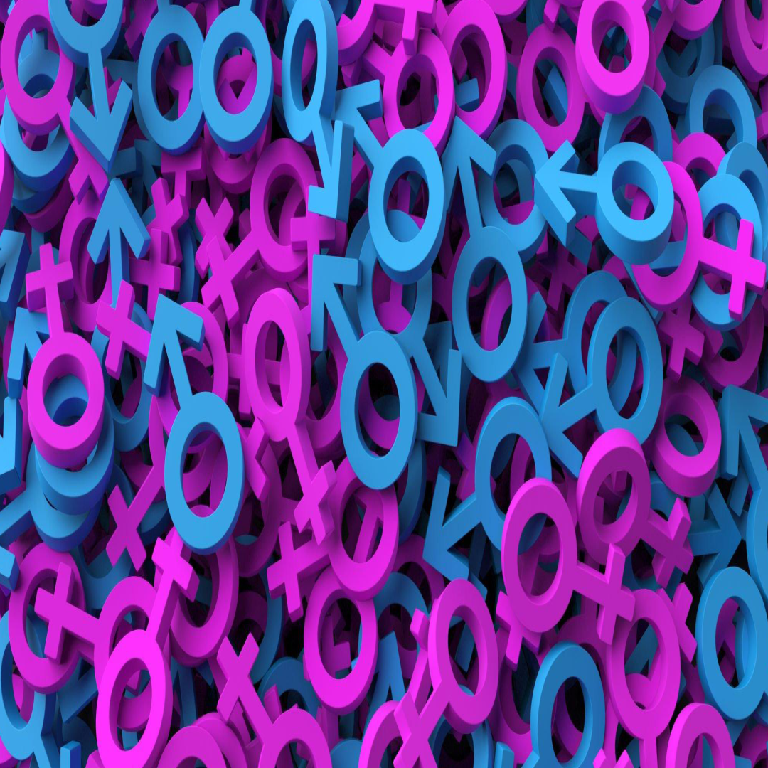 Çift Cinsiyetlilik ve Dış Görünüm: Çeşitlilik ve Bireysel Kimlik İfadeleri | 